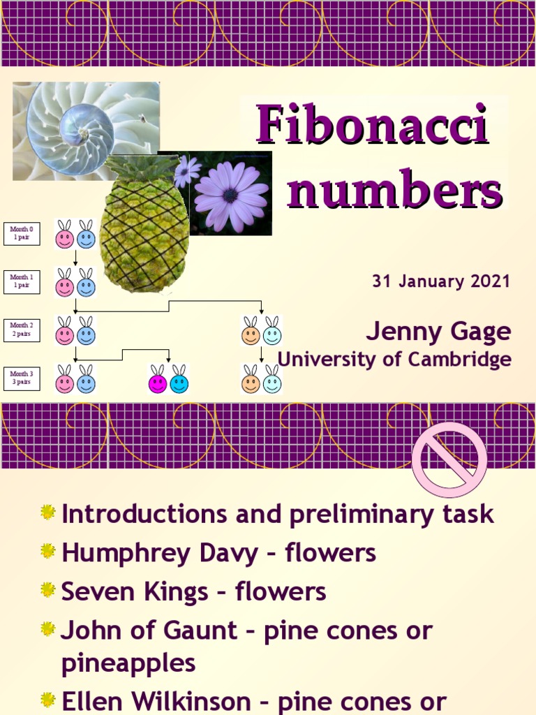 Fibonacci | PDF | Numbers | Teaching Mathematics
