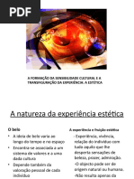 A FORMAÇÃO DA SENSIBILIDADE CULTURAL E A TRANSFIGURAÇÃO