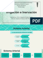 Irrigación e Inervación