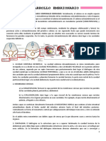 Wuolah Free TEMA 11 Desarollo Embrionario