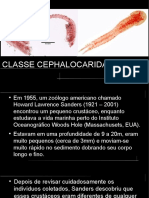 Apresentação Cephalocarida