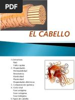 Composición y Ciclo del Cabello | PDF | Sistema tegumentario | Bioquímica