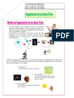 Niveles de Organización de Los Seres Vivos: Rd.0:2230 Ugel N°06 Ate Vitarte