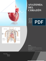 EXP. 1 Anatomia Cardiaca 13-01-2021