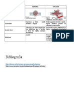 Cuadro Comparativo