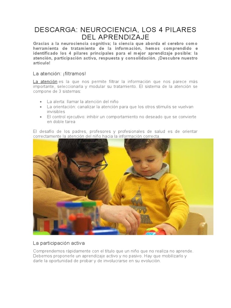 4 Pilares Del Aprendizaje Pdf Atención Aprendizaje