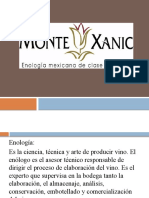Monte Xanic Branding