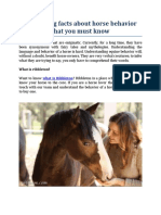 Interesting Facts About Horse Behavior That You Must Know