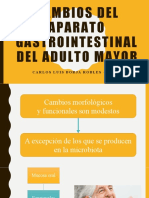 Cambios Del Aparato Gastrointestinal Del Adulto Mayor