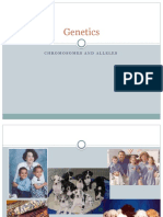 Genetics: Chromosomes and Alleles