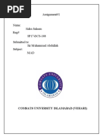 PDF Document