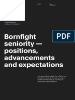 Bornfight Seniority - Positions, Advancements and Expectations