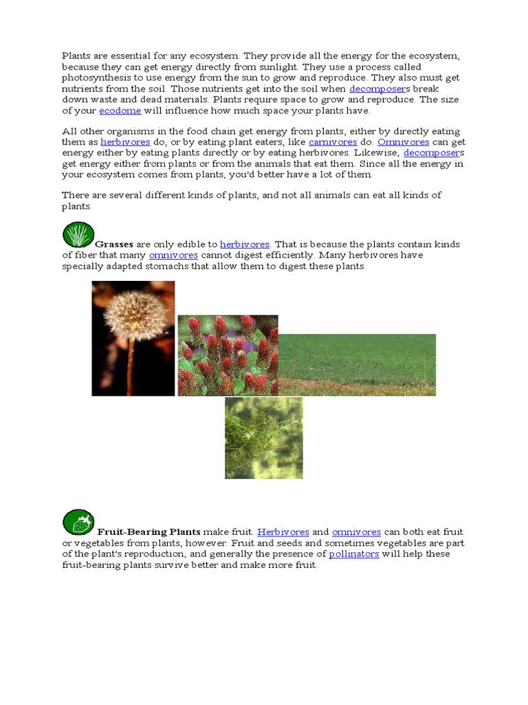 Essential Roles of Plants in Ecosystems | PDF | Home & Garden | Science ...