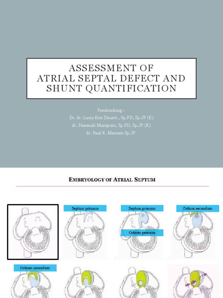 echo-assessment-in-asd-vsd-pdf-angiology-heart