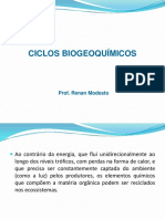 Ciclos Biogeoquímicos