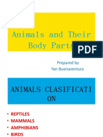 Share Animals and Theirbody Parts