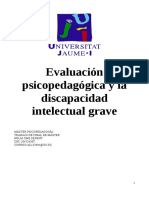 Evaluacion Psicopedagogica Na Discapacidad Intelectual Grave