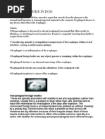 Download Choke in Dog by TAMIL SN4928669 doc pdf