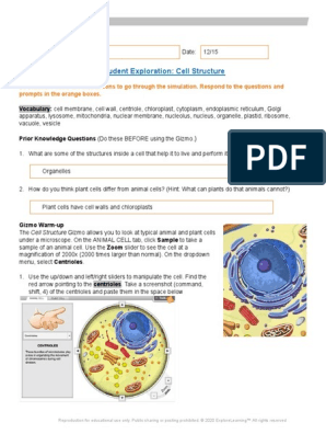 Cell Structure Gizmo Pdf Eukaryotes Organelle