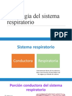 Histologia Sistema Respiratorio 1