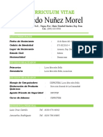 Curriculum Alfredo Nuñez Morel