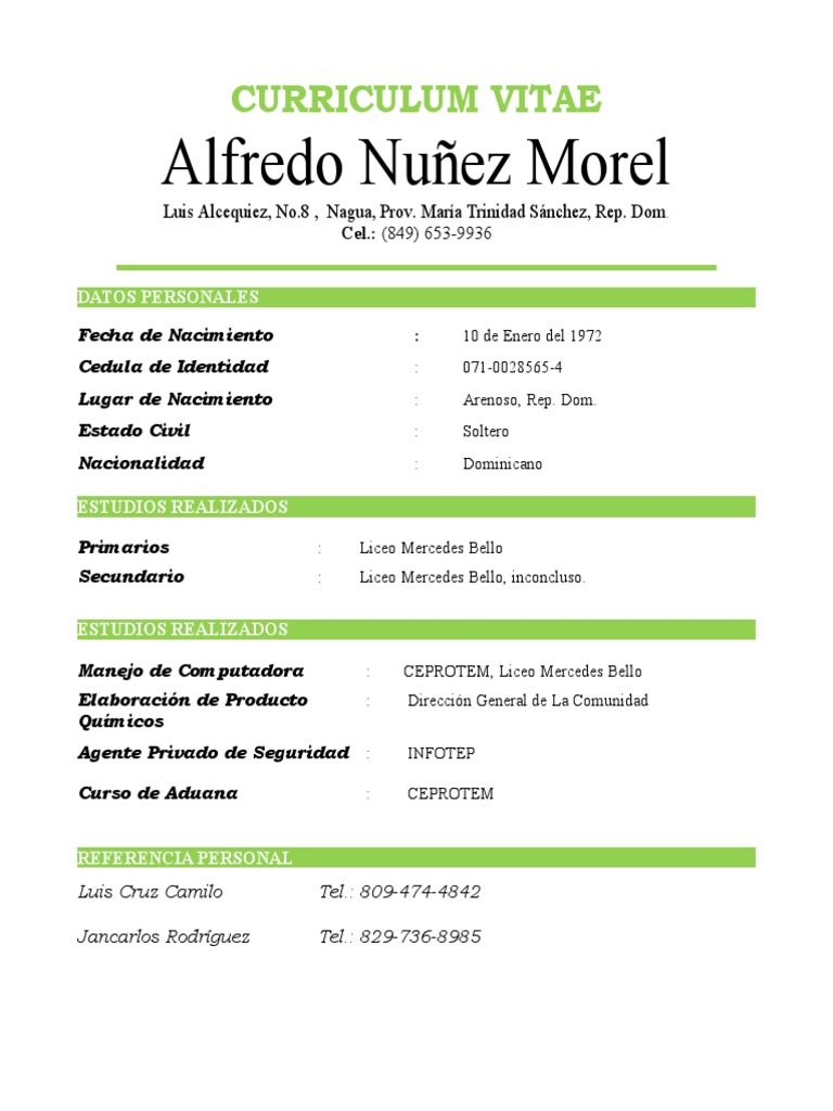 Curriculum Alfredo Nuñez Morel PDF