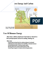 How Biomass Stores Energy and Carbon