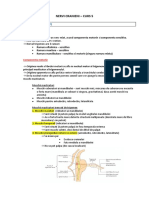 Curs 5 - Nervi Cranieni 2