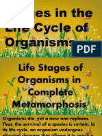 Stages in The Life Cycle of Organisms