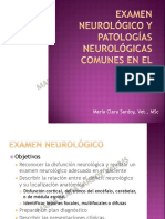 Examen Neurologico y Patologias Comunes en El Equino 2013 Web