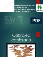 Exposiciones Características Dendrológicas Principales Especies Del Ecuador