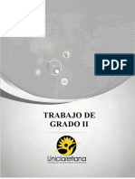 Guía Trabajo de Grado II