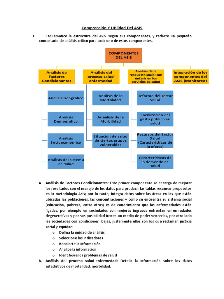 Estructura y Componentes del ASIS | PDF | Asistencia sanitaria ...