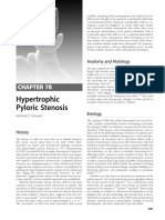 Hypertrophic Pyloric Stenosis: Anatomy and Histology