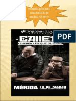 Calle 13 Merida Music Fest