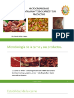 Clase V Microorganismos de Carne