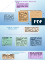 Causas y Mecanismos Basicos de Las Mutaciones