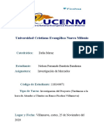 Informe de Proyecto de Investigacion de Mercados, Nelson Fernando Bautista, 118140071