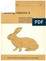 Raising Rabbits 2