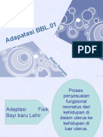 Pert - 1 - Adaptasi BBL.01