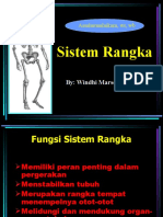 Sistem Kerangka