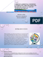 Sistema de Gestion Ambiental Teniendo en Cuenta La Norma Iso 14001:2015 para Los Procesos Que Se Llevan A Cabo en Plásticos Forlan