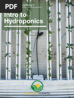 Intro To Hydroponics: Agriculture Academy's