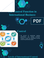 Control Function in International Business