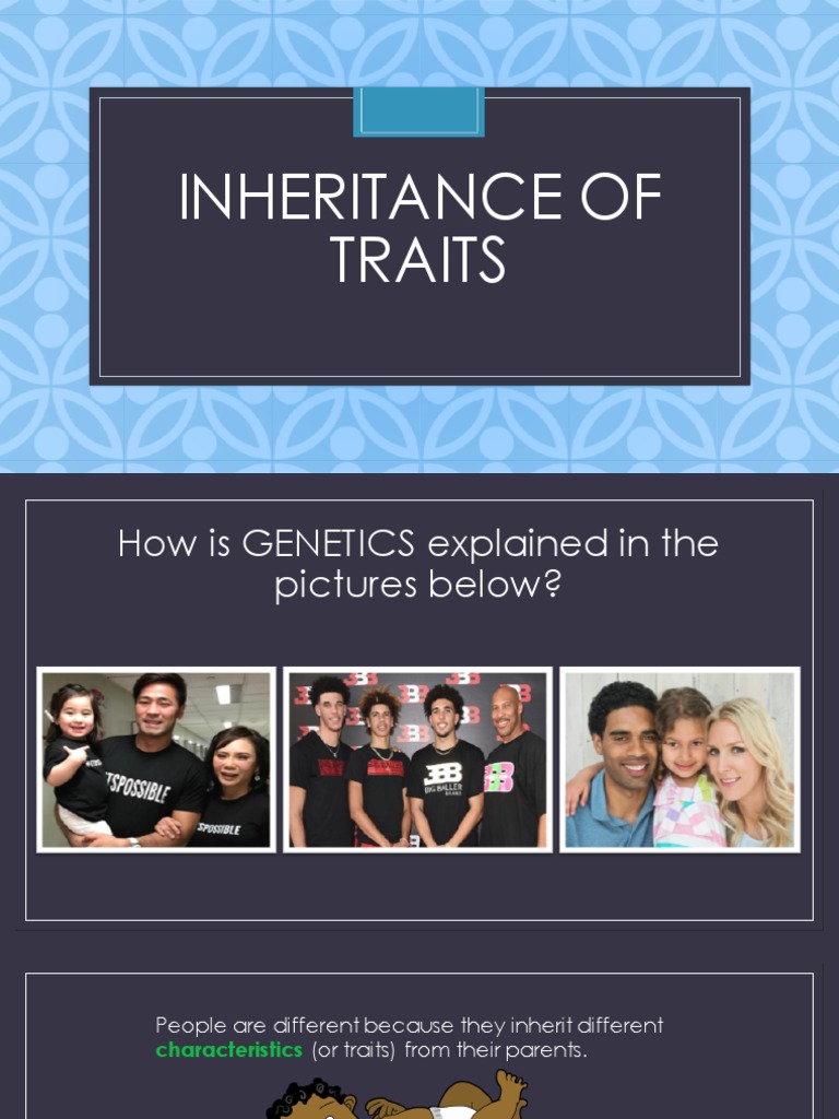 Genetics and Inheritance Explained | PDF | Dominance (Genetics) | Zygosity