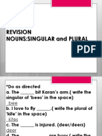Revision Nouns:Singular and Plural