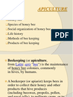 Honey Bee Species of Honey Bee Social Organization of Honey Bee Life History Methods of Bee Keeping Products of Bee Keeping