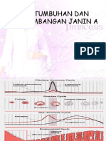 Pertumbuhan Dan Perkembangan Janin