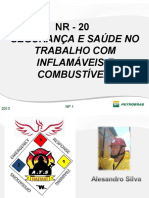 227958947-Nr-20-Petrobras-Integracao