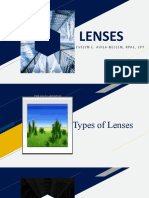 Lenses: Evelyn C. Avila-Bellen, Rpae, LPT
